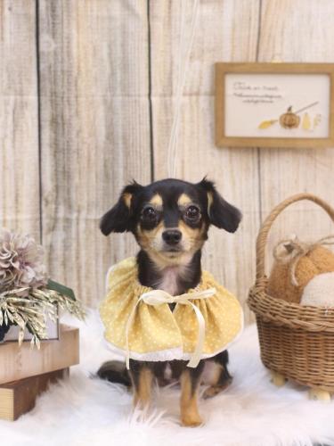 20241016叶空ちゃん